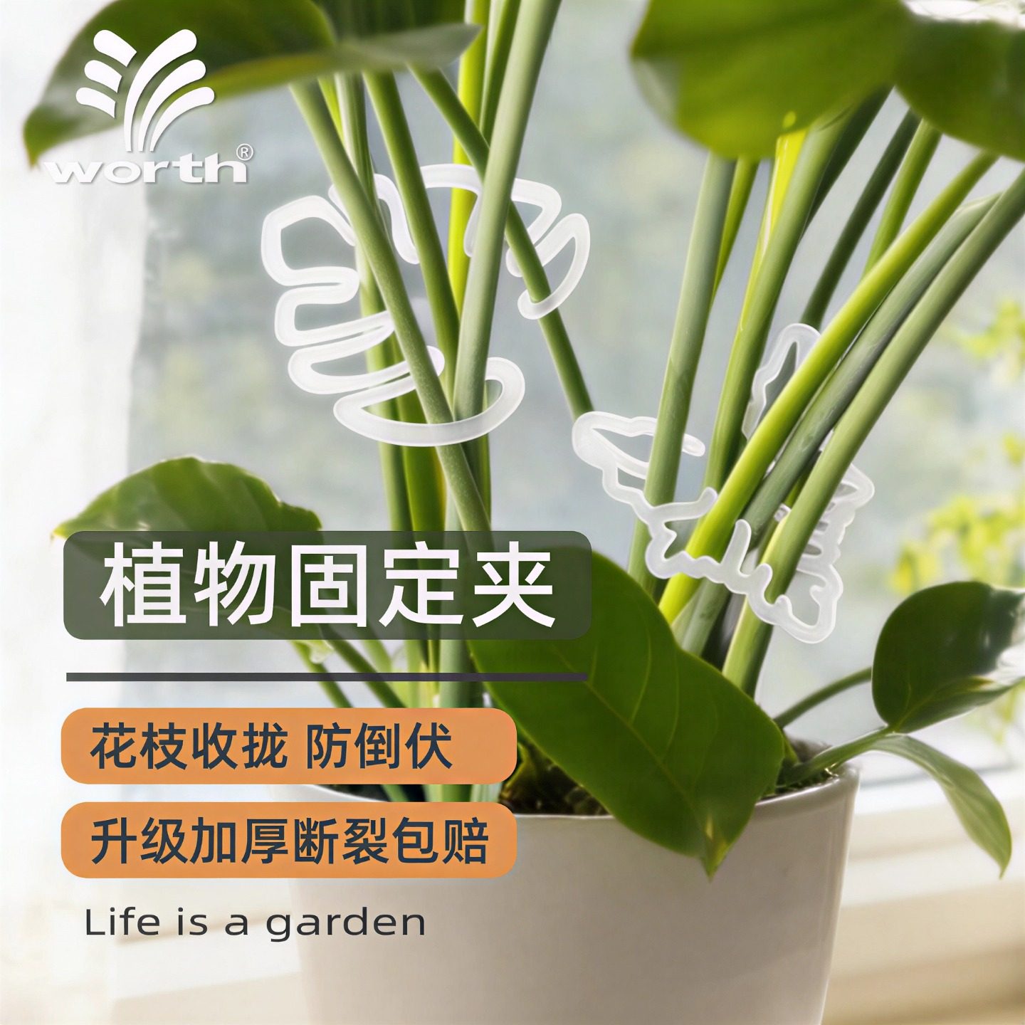 沃施worth花托防倒伏支撑架图片