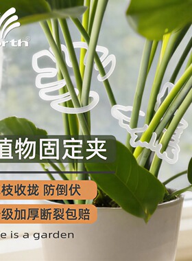 沃施worth花托花架龟背竹支撑杆支撑架植物固定器枝干收拢固定架