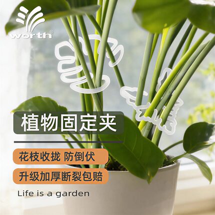 沃施worth花托花架龟背竹支撑杆支撑架植物固定器枝干收拢固定架