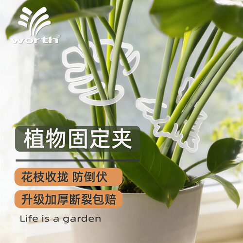 沃施worth花托防倒伏支撑架