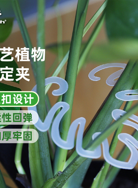 沃施worth花托花架龟背竹支撑杆支撑架植物固定器枝干收拢固定架