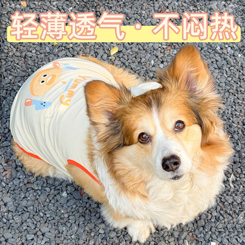 夏季防掉毛薄款柯基衣服猫咪衣服比熊犬泰迪小狗衣服遛狗防脏背心
