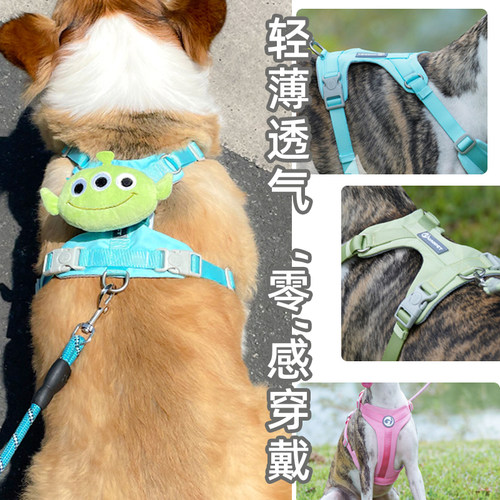夏天透气遛狗遛猫绳防挣脱牵引绳背心式泰迪柯基中小型犬宠物胸背