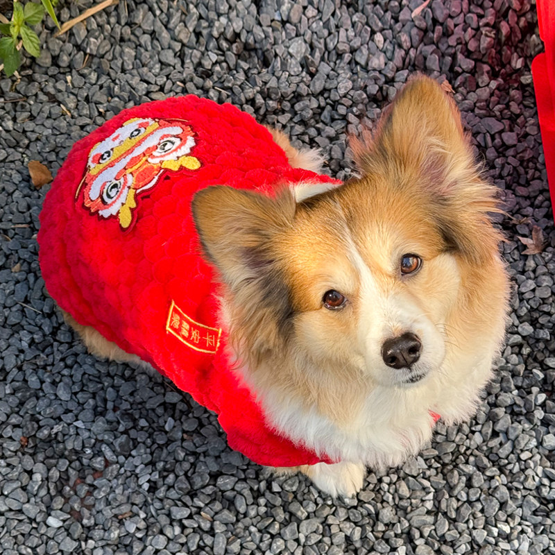 宠物狗狗新年衣服柯基柴犬比熊泰迪过年新年装扮冬保暖可爱2024款,宠物/宠物食品及用品,狗宠物服装/雨衣,淘宝优惠券,粉丝福利购,淘宝优惠卷