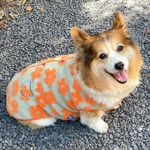 柯基衣服2024秋冬新款加绒保暖马甲背心柴犬比熊宠物狗狗防掉毛猫