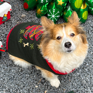 圣诞狗狗衣服冬款柯基柴犬中型犬冬天可爱小狗比熊保暖幼犬毛衣服
