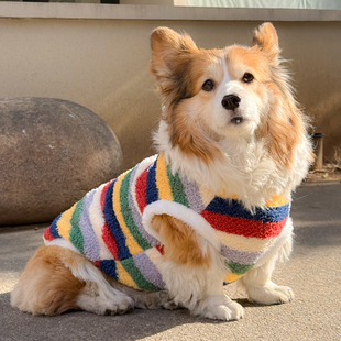 狗狗新年衣服加绒保暖冬季新款柯基土松柴犬可爱猫猫过年宠物服饰