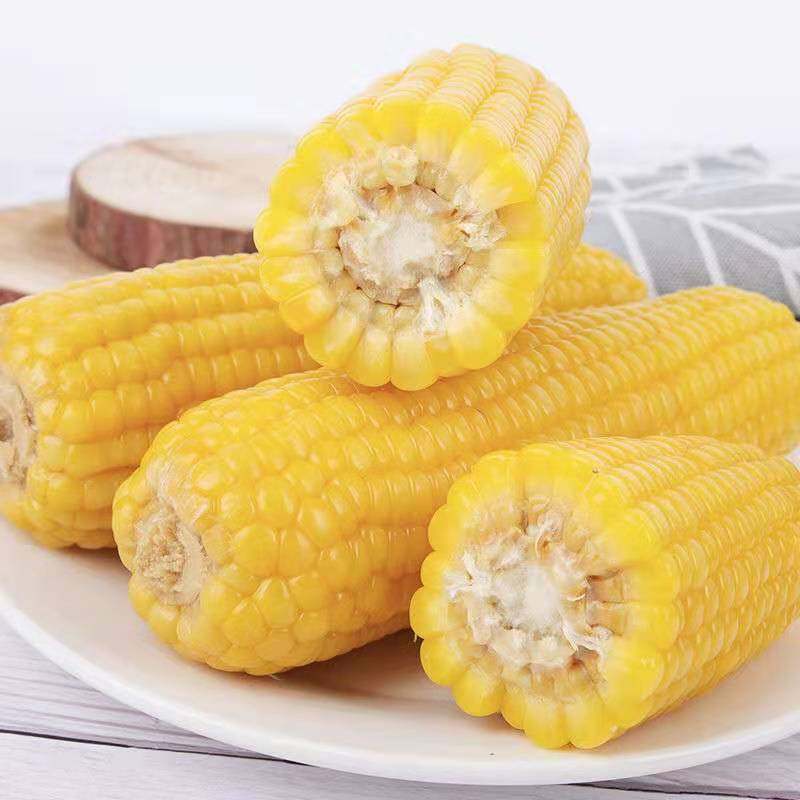 23年山西非转基因真空甜糯黄玉米7根黄玉米棒软糯香甜