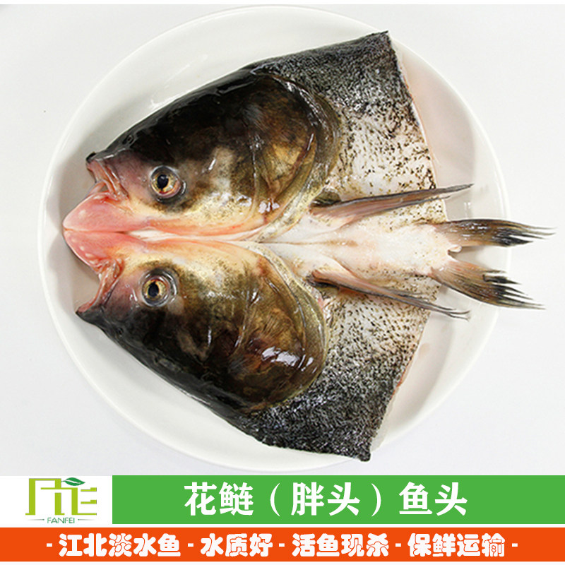 白鲢花鲢鱼头新鲜胖头鱼头食用淡水鱼头活鱼现杀剁椒火锅开背鱼头
