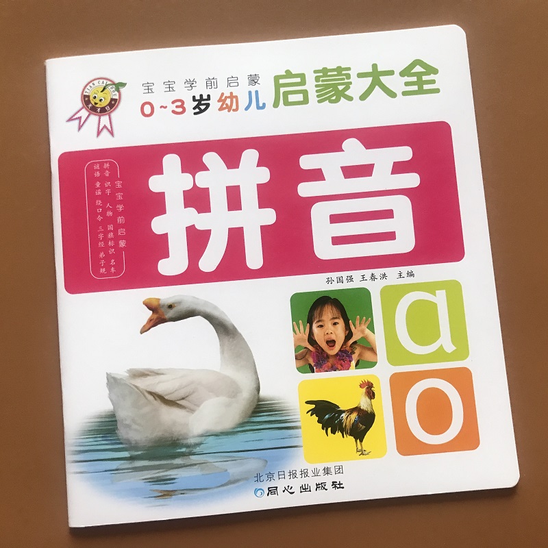 3-6岁幼儿童学汉语拼音卡片 彩图大卡声母韵母整体认读ao带四声调