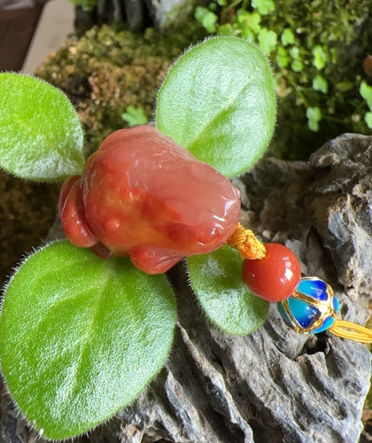 杨玉家天然黄龙玉胭脂红立体精雕小青蛙呱呱来财钥匙包包挂件证书