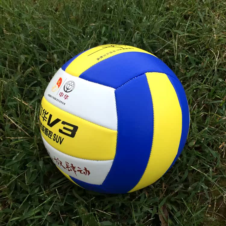 Ballon de volley-ball - Ref 2008006 Image 3