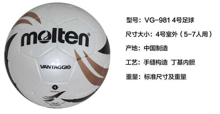 Ballon de foot - Ref 6902 Image 3
