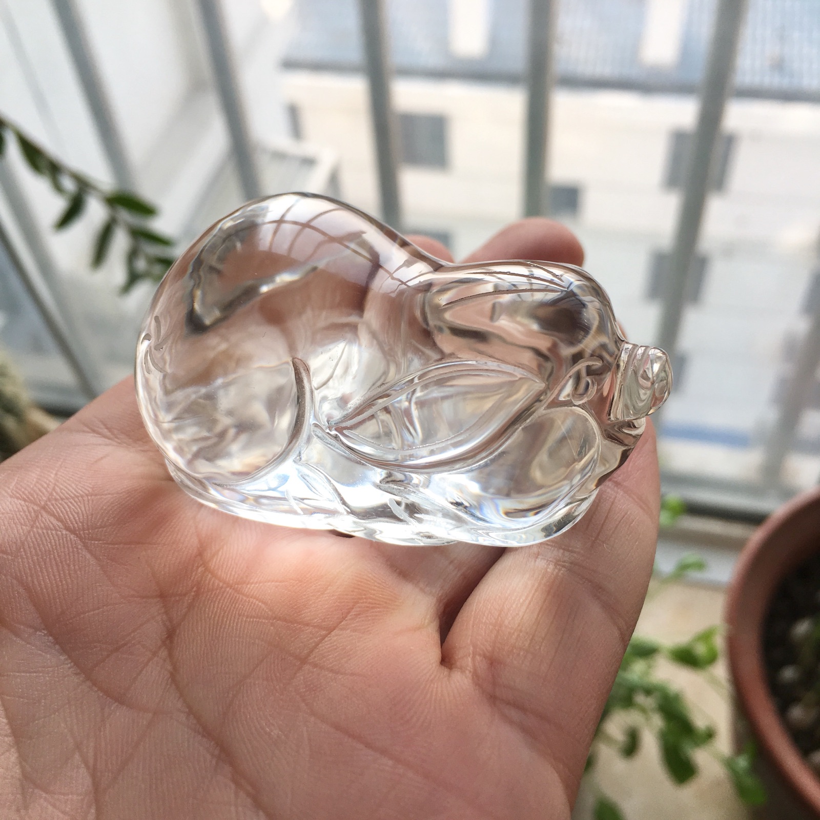 精雕天然白水晶小猪摆件 生肖小猪摆件 风水水晶发财水晶猪摆件