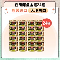 【R & Fresh-Imported в Таиланде】 24 банки замороженных банок бело-тела золотых банок