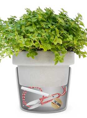 英国SUCK UK 创意陶瓷花盆 双层隐蔽桌面绿植盆栽钥匙杂物收纳盒