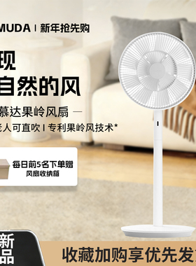 BALMUDA巴慕达果岭风扇日本进口家用静音空气循环扇落地扇电风扇