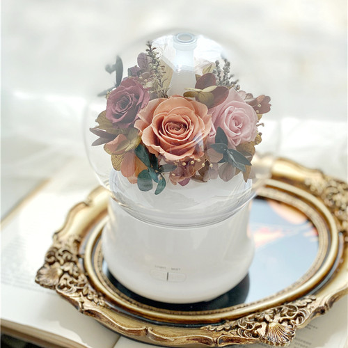 永生花加湿器价格 永生花加湿器图片 星期三