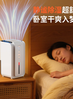 除湿机卧室静音空气净化器家用卧室干爽舒适睡眠神器超舒适静谧