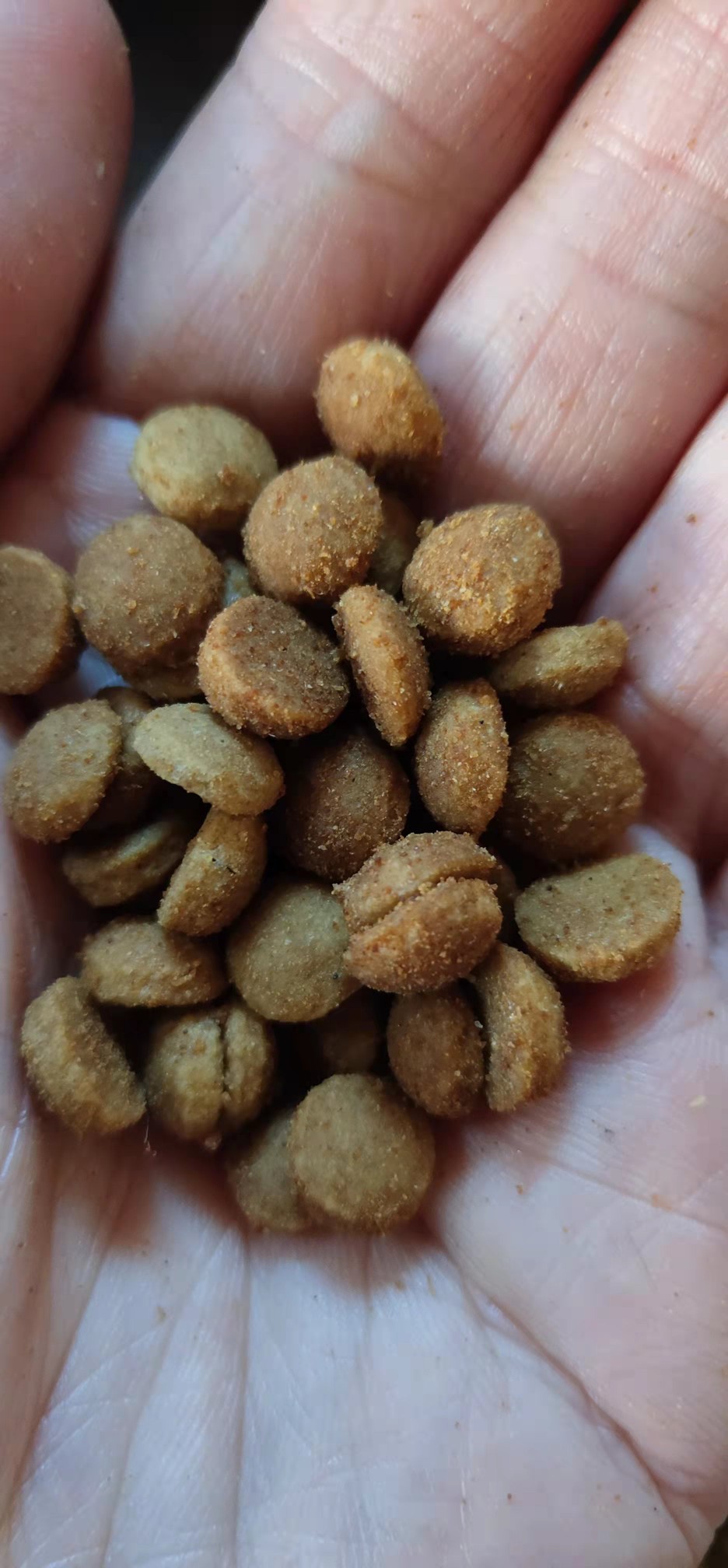 自制纯天然鲜肉无谷狗粮宠物粮通犬期同用