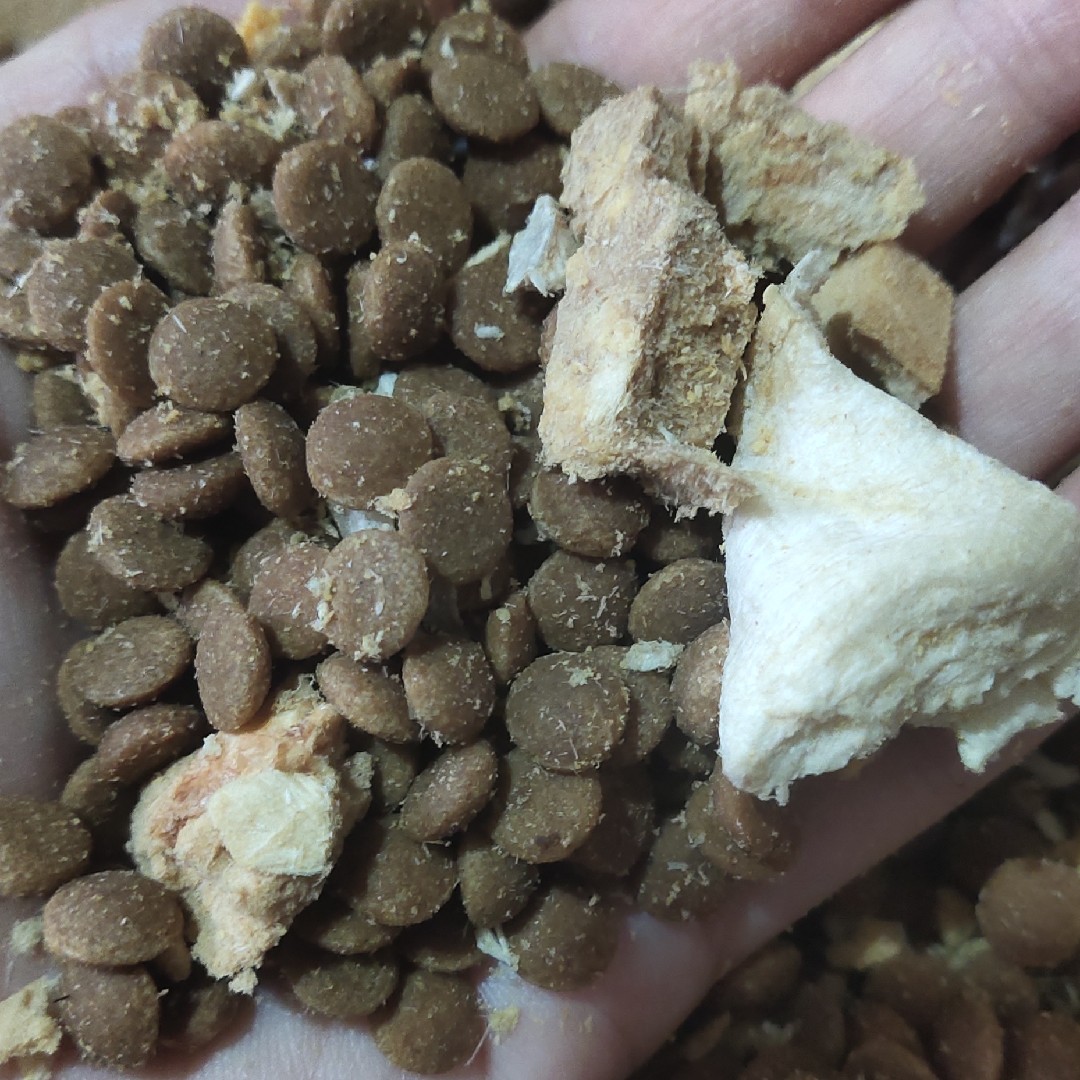 自制冻干美毛去泪痕增肥犬型狗粮