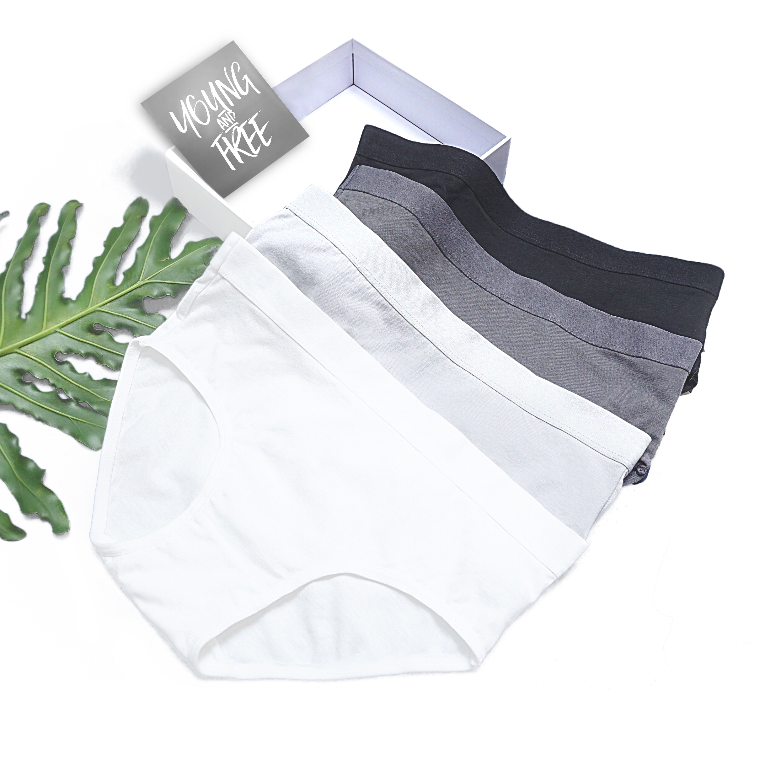 中性女内裤纯棉黑白纯色深灰