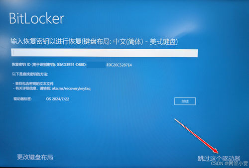 机械硬盘固态硬盘硬盘Bitlocker分区加密解锁 解密数据数据恢复