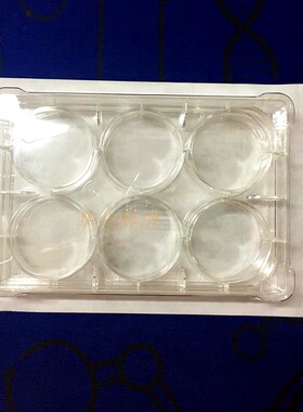 Corning康宁Costar细胞培养板【6孔/12孔/24孔/48孔/96孔】