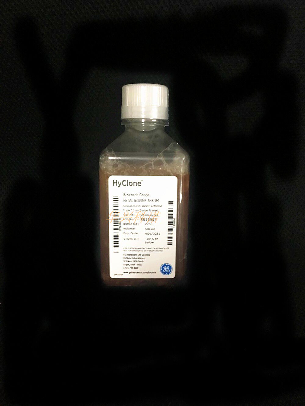 hyclone 胎牛血清  sv30160.03(500ml)