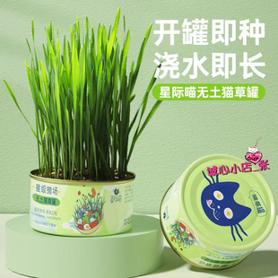 星际喵猫草罐头吐毛球促进无土栽培宠物猫零食成幼猫通用星级猎场