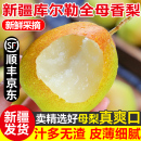 新疆库尔勒香梨水果新鲜大果全母梨9斤净果孕妇儿童当季 玉露香梨