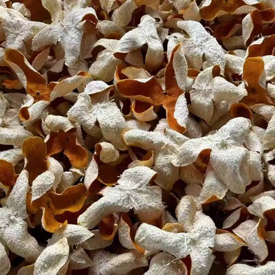 梅江塞口围 新会陈皮冬后大红新皮 收藏级核心明星产区塞口围高货