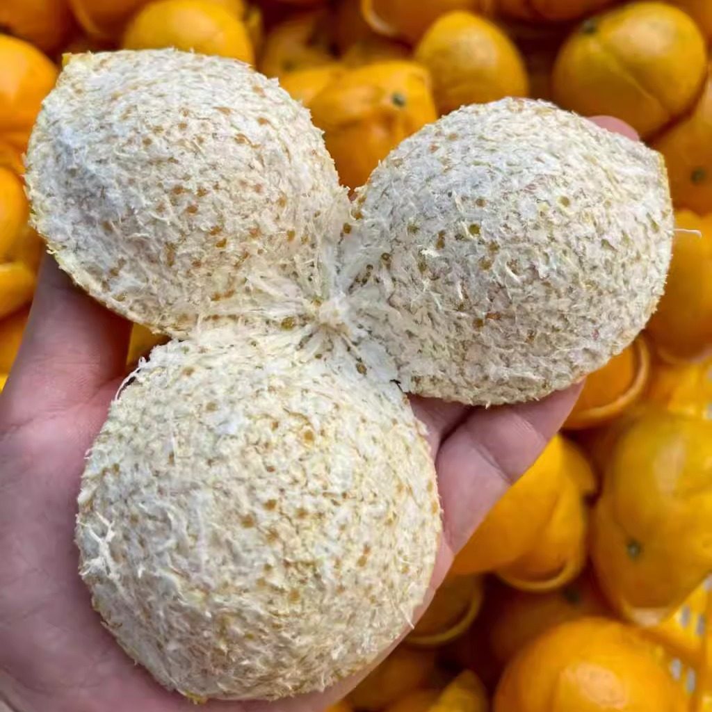 2025年新会茶坑冬后大红新皮 自然生晒柑香甜润 正宗陈皮陈皮茶坑,茶,陈皮茶,淘宝优惠券,粉丝福利购,淘宝优惠卷