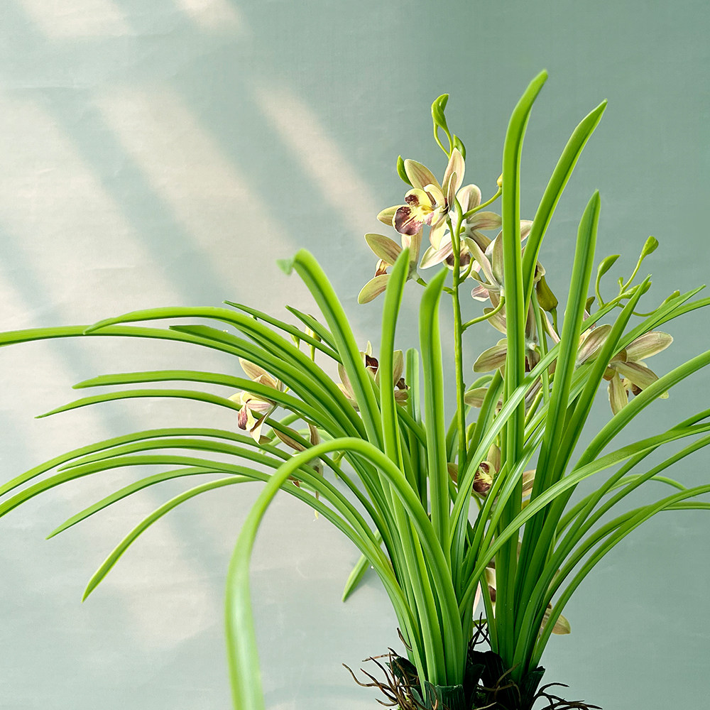 新中式国兰花盆栽客厅书房茶室禅意盆景绿植家居装饰仿真花艺摆件