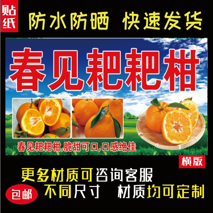 春见耙耙柑室内外海报贴纸防水防晒自粘摆摊小吃车广告装饰1472