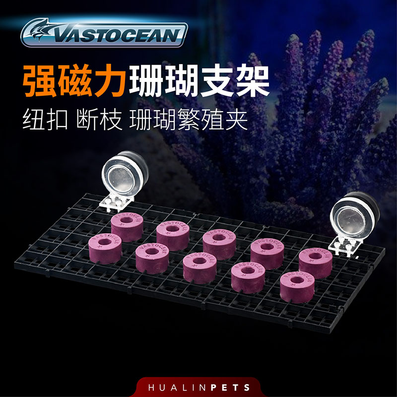 Vastocean强磁亚克力海缸LPS养殖珊瑚架断枝纽扣皮革架SPS断枝架