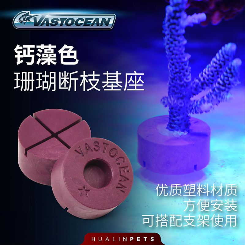 VASTOCEAN钙藻色珊瑚断枝基座塑料繁殖底座纽扣LPS SPS通用托盘