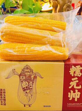 黄糯甜糯棒粘苞米真空粘苞米