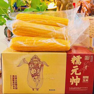 东北粘苞米黄糯甜糯棒真空香甜软糯低脂糖代餐玉米一箱10根糯元帅