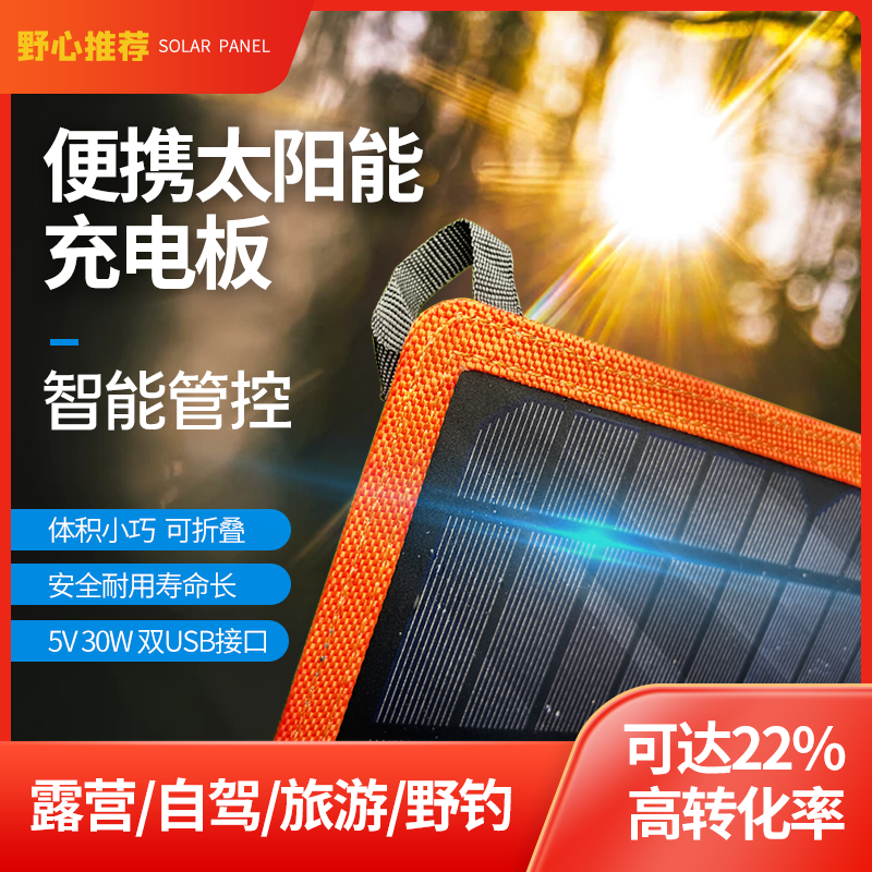Alily 太阳能电池板 户外露营小体型发电板 无充电宝功能便携露营