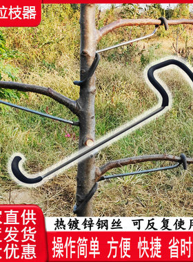 果树拉枝器压枝定型器苹果树别枝器 定型弯枝器 开基角拉平拉下垂
