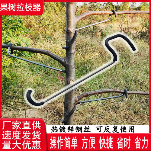 拉枝器别枝器省时省力方便快捷