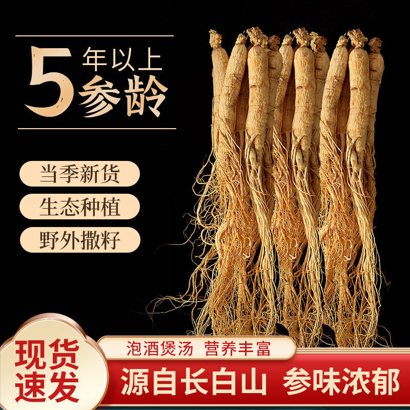 煲汤泡茶干林下参御松源药材食品正品官方旗舰店药材移山参十五年