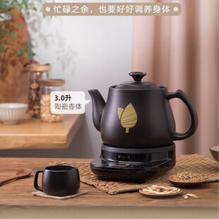 小熊电煎壶煎药壶家用煮煲熬电砂锅熬药罐陶瓷中医养生壶