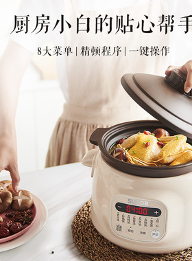 苏泊尔电炖锅 3L电炖盅煮锅煲汤炖汤锅鸡鸭汤煮粥可预约DG30YC816