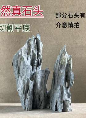 盆景附树石头鱼缸造型天然英德