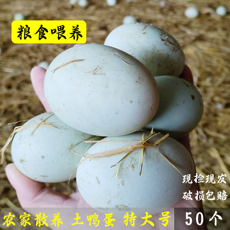 四川农家粮食喂养散养土鸭蛋特价