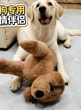 √拉布拉多专用大狗泄火
