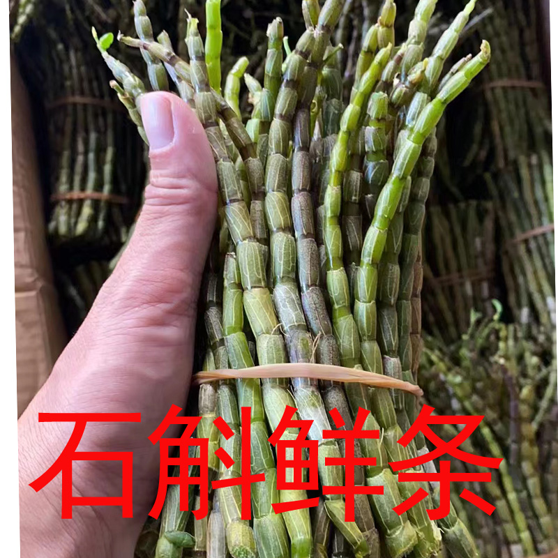 铁皮石斛苗鲜条枫斗条可食用石斛鲜条霍山铁皮石斛鲜条