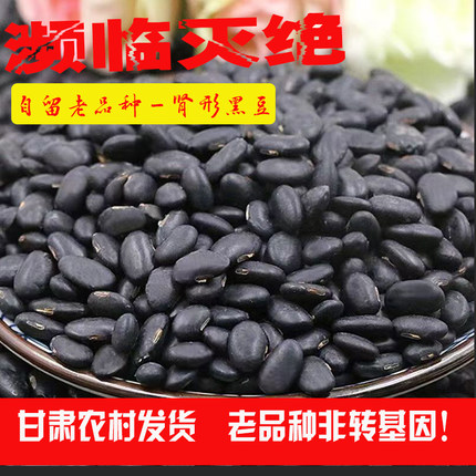 肾形黑豆 甘肃农家自种老品种黄心黑扁豆豆芽菜豆浆杂粮新货包邮